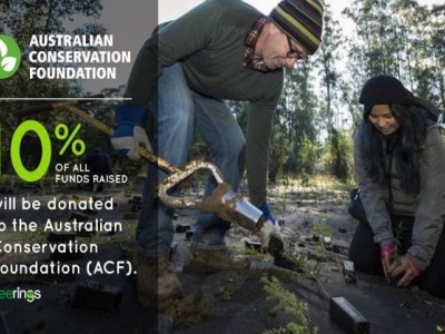 Join the Greenhouse Revolution: Orchids DABM Needs You!