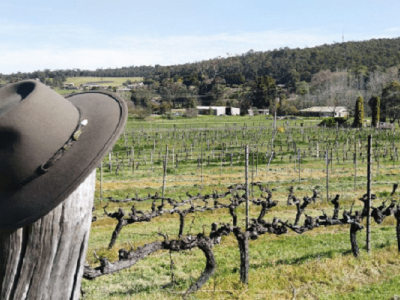 Lawnbrook Estate V2024 COVID-19 Rescue Package