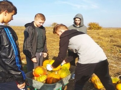 Help Social AgroBusiness of Rural Youth in Ukraine