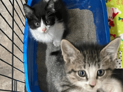 The reasons I’ve lost faith in humanity today